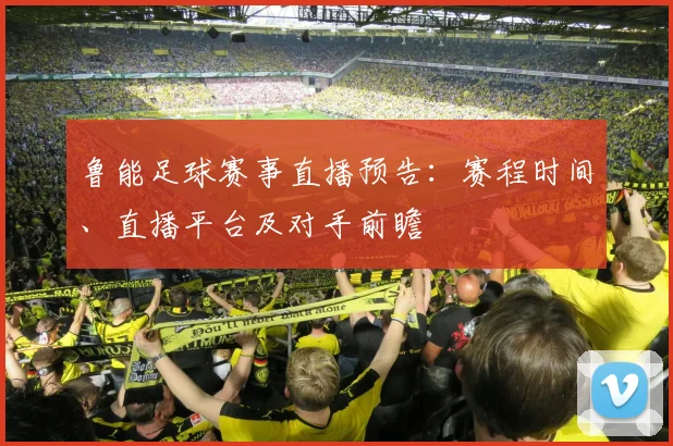 鲁能足球赛事直播预告：赛程时间、直播平台及对手前瞻