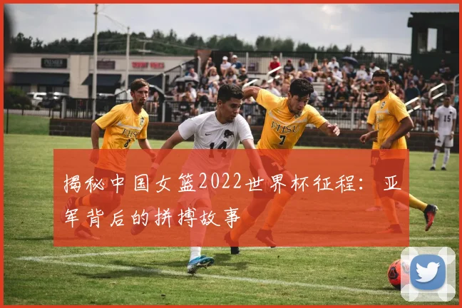 揭秘中国女篮2022世界杯征程：亚军背后的拼搏故事