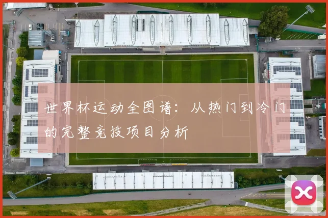 世界杯运动全图谱:从热门到冷门的完整竞技项目分析