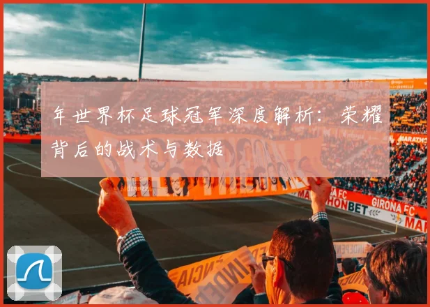 年世界杯足球冠军深度解析：荣耀背后的战术与数据
